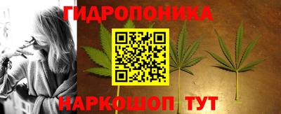 индика Заводоуковск