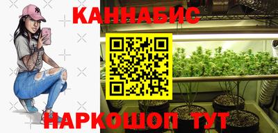 индика Заводоуковск