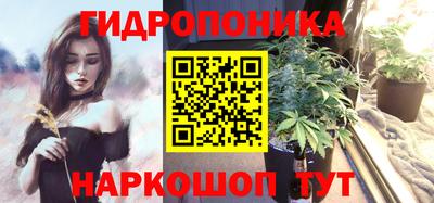 индика Заводоуковск