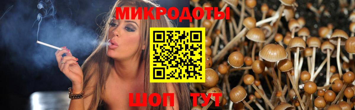 Галлюциногенные грибы мухоморы Новоалександровск